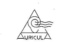 AURICULA