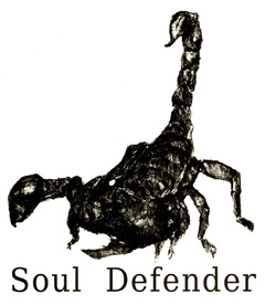 Soul Defender