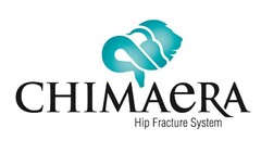 CHIMAERA HIP FRACTURE SYSTEM