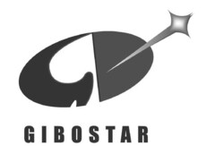 GIBOSTAR