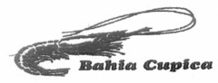 Bahia Cupica