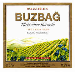 OSTANATOLIEN BUZBAG Türkischer Rotwein TROCKEN/SEK ELAZIG (Ostanatolien) OSTANATOLIEN PRODUCE OF TURKEY