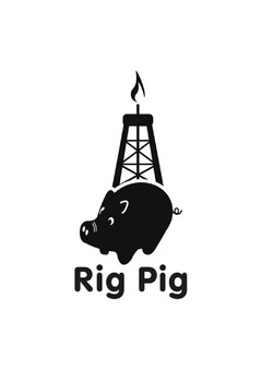 Rig Pig