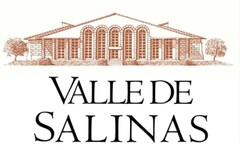 VALLE DE SALINAS