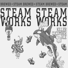 STEAM BREWED STEAM WORKS KILLER CUCUMBER ALE Recycle for Redemption