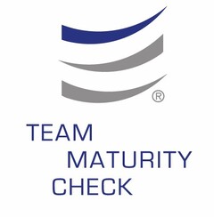 TEAM MATURITY CHECK