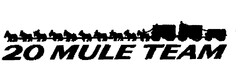 20 MULE TEAM