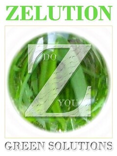 ZELUTION DO YOU Z GREEN SOLUTIONS