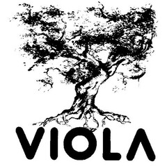 VIOLA