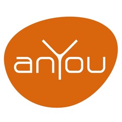 ANYOU