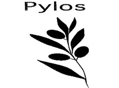 Pylos