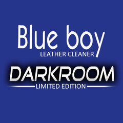 Blue boy DARKROOM