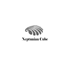 Neptunian Cube