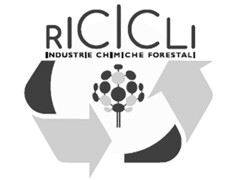 RICICLI INDUSTRIE CHIMICHE FORESTALI