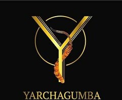 YARCHAGUMBA