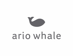 ario whale