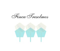 FINCA TRESOLMOS