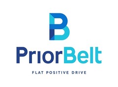 B PriorBelt Flat Positive Drive