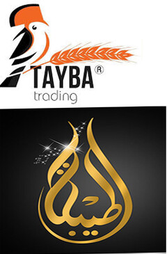 TAYBA trading