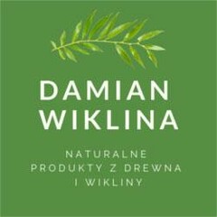 DAMIAN WIKLINA NATURALNE PRODUKTY Z DREWNA I WIKLINY