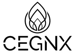 CEGNX