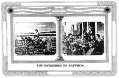 THE GATHERING OF SAFFRON