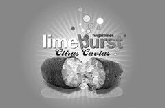 limeburst Citrus Caviar fingerlimes