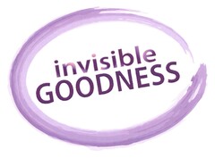 INVISIBLE GOODNESS