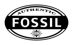 AUTHENTIC FOSSIL GENUINE