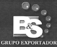 B&S GRUPO EXPORTADOR