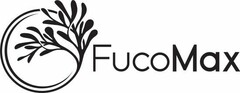FucoMax