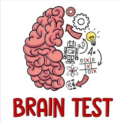 BRAIN TEST