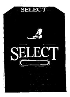 SELECT SELECT