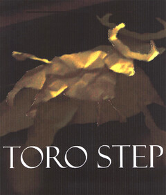 TORO STEP