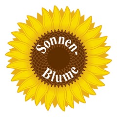 Sonnen - Blume