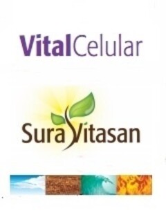 VitalCelular SuraVitasan