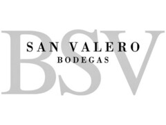 BSV SAN VALERO BODEGAS