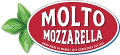 MOLTO MOZZARELLA HAND MADE IN MARKET CITY GROCETORY EST.2023