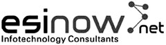 ESINOW.NET infotechnology consultants