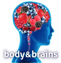 body&brains