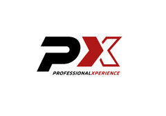 px PROFESSIONALXPERIENCE