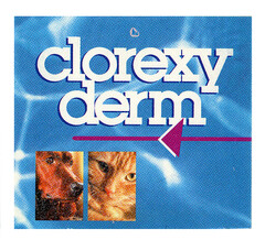 clorexy derm