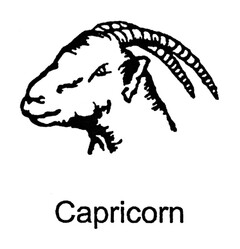 Capricorn