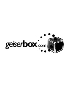 geiserbox.com