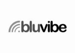 bluvibe