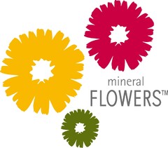 mineral FLOWERS
