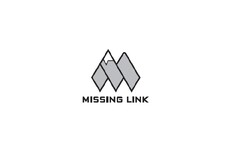 MISSING LINK