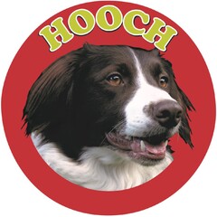 HOOCH