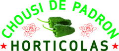 CHOUSI DE PADRON HORTICOLAS