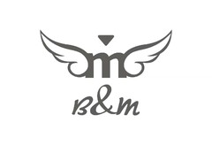 B&M